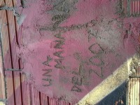 /album/la-bobila-de-viladecans/obra-en-2007-jpg/